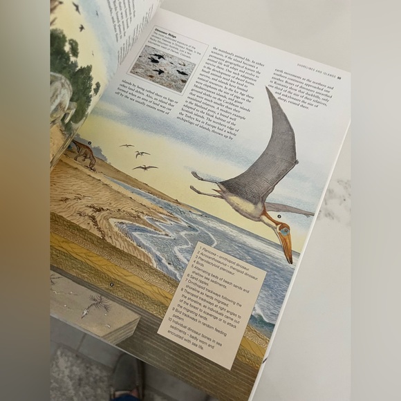 The encyclopedia of dinosaurs.  9x12” book includes 355 dinosaurs. - Picture 2 of 6